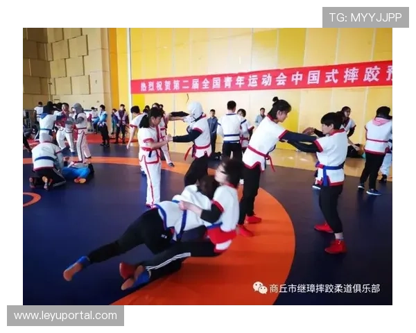 中国摔跤市场所处生命周期分析,2026-2030年市场规模及增长率预测发布 中国摔跤市场所处生命周期分析,2026-2030年市场规模及增长率预测发布